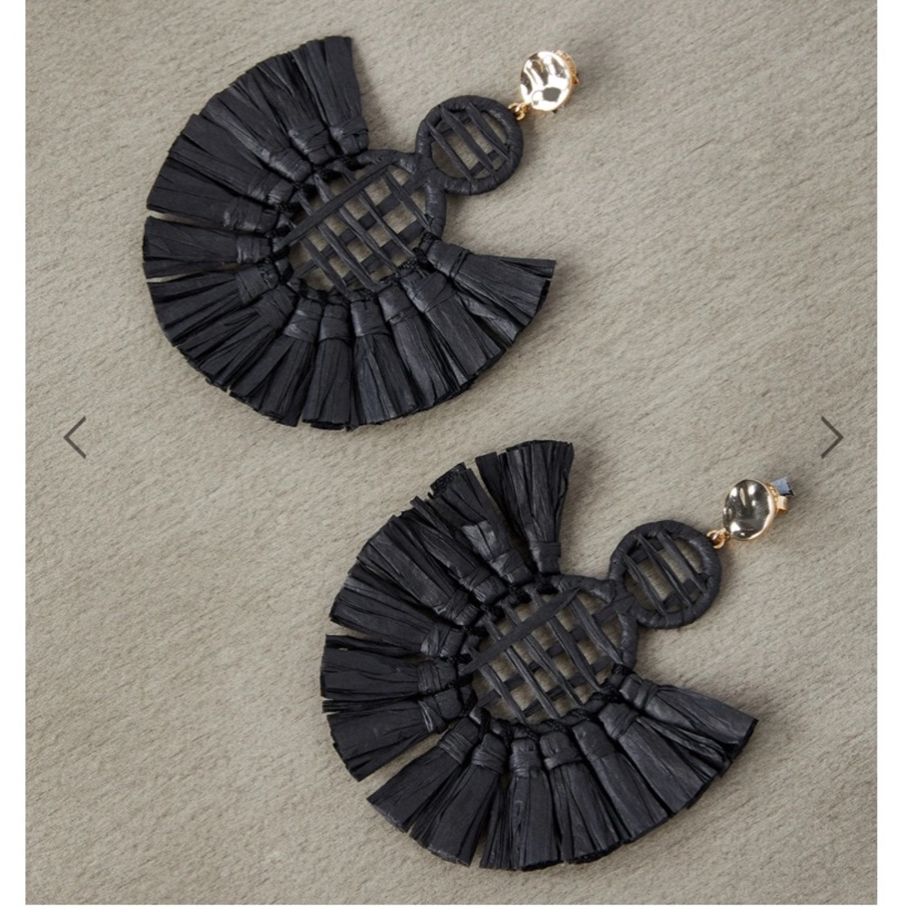 BCBG Earrings